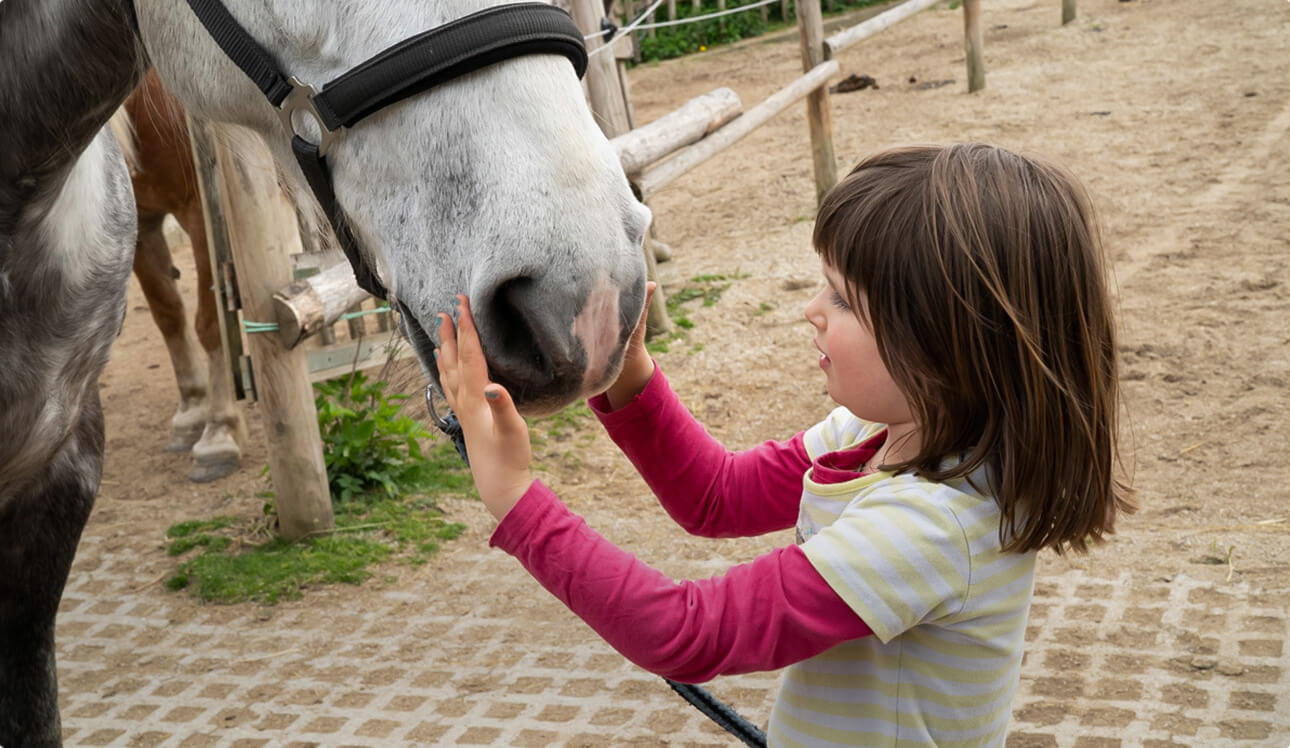 Pädagogische Gruppenangebote